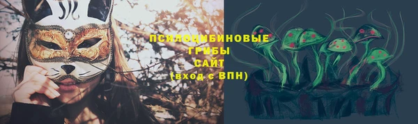 2c-b Алзамай