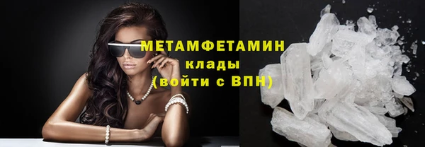 прущие грибы Ельня