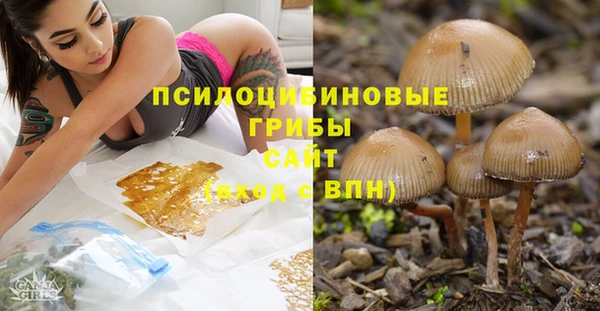 спайс Алексеевка