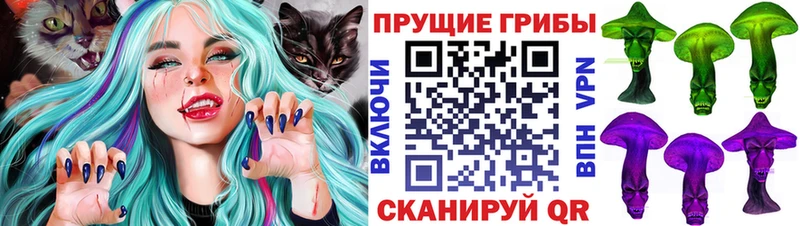 Галлюциногенные грибы мухоморы  KRAKEN сайт  Новоульяновск  хочу  