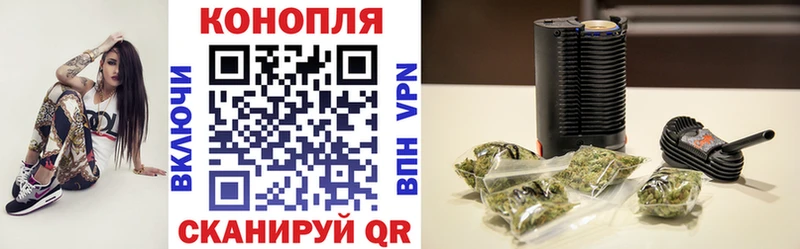 Бошки марихуана сатива  Новоульяновск 